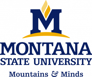 Montana State University